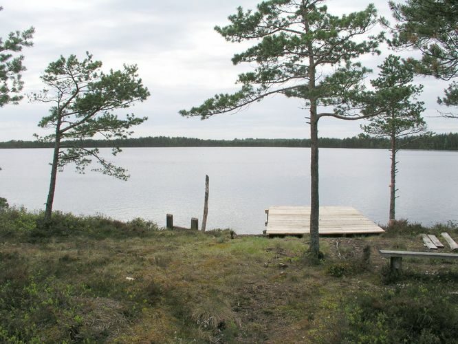 Maakond: Lääne-Virumaa Veekogu nimi: Tudu järv Pildistamise aeg: 31. mai 2003 Pildistaja: H. Timm Pildistamise koht: teadmata Asimuut: