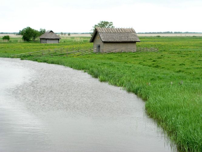 Maakond: Läänemaa Veekogu nimi: Tuudi jõgi Pildistamise aeg: 5. juuni 2005 Pildistaja: H. Timm Pildistamise koht: Suitsu sild Asimuut: