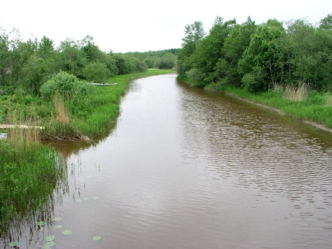 Maakond: Läänemaa Veekogu nimi: Tuudi jõgi Pildistamise aeg: 5. juuni 2005 Pildistaja: H. Timm Pildistamise koht: Suitsu sild Asimuut: