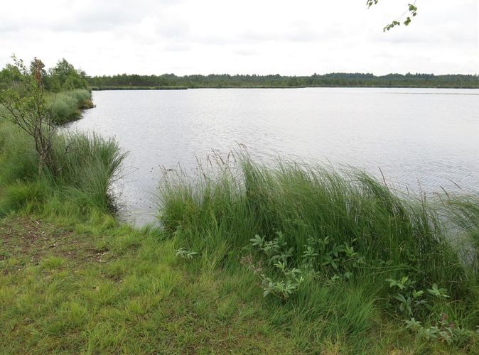 Maakond: Järvamaa Veekogu nimi: Tuulissilla järv Pildistamise aeg: 6. juuli 2013 Pildistaja: H. Timm Pildistamise koht: teadmata Asimuut: