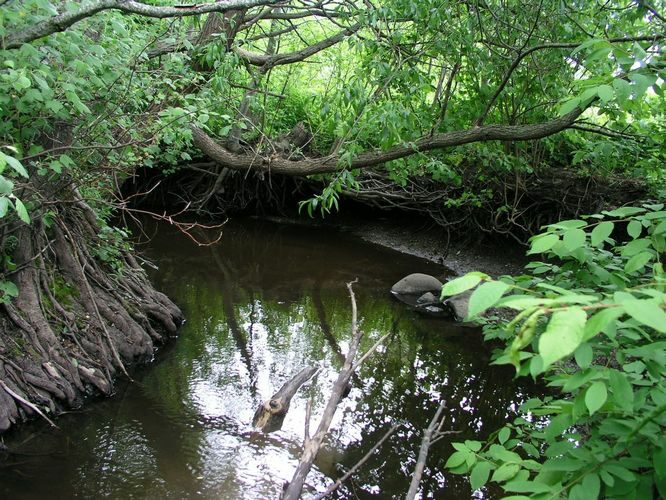 Maakond: Pärnumaa Veekogu nimi: Tuuraste oja Pildistamise aeg: 28. mai 2009 Pildistaja: H. Timm Pildistamise koht: teadmata Asimuut: