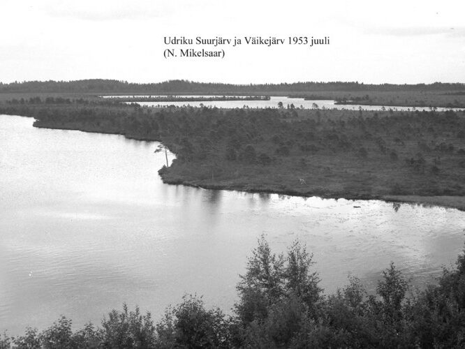 Maakond: Lääne-Virumaa Veekogu nimi: Udriku Suurjärv Pildistamise aeg: juuli 1953 Pildistaja: N. Mikelsaar Pildistamise koht: taga V Asimuut: