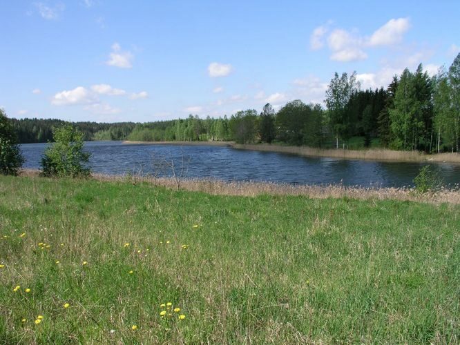 Maakond: Põlvamaa Veekogu nimi: Uiakatsi järv Pildistamise aeg: 25. mai 2007 Pildistaja: H. Timm Pildistamise koht: teadmata Asimuut: