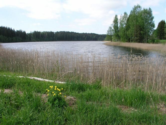 Maakond: Põlvamaa Veekogu nimi: Uiakatsi järv Pildistamise aeg: 25. mai 2007 Pildistaja: H. Timm Pildistamise koht: teadmata Asimuut: