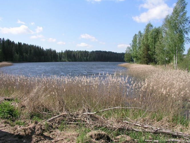 Maakond: Põlvamaa Veekogu nimi: Uiakatsi järv Pildistamise aeg: 25. mai 2007 Pildistaja: H. Timm Pildistamise koht: teadmata Asimuut: