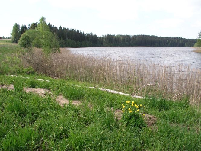 Maakond: Põlvamaa Veekogu nimi: Uiakatsi järv Pildistamise aeg: 25. mai 2007 Pildistaja: H. Timm Pildistamise koht: teadmata Asimuut: