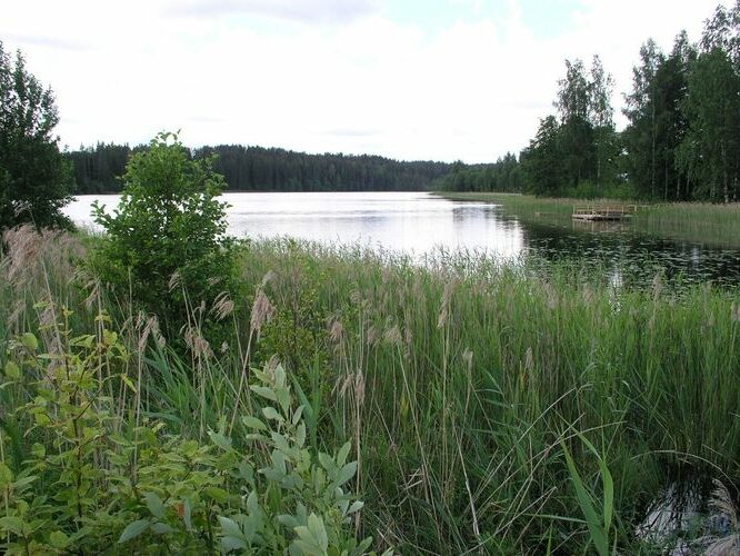 Maakond: Põlvamaa Veekogu nimi: Uiakatsi järv Pildistamise aeg: 7. mai 2008 Pildistaja: H. Timm Pildistamise koht: teadmata Asimuut: