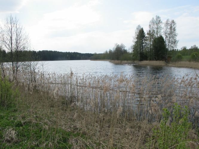 Maakond: Põlvamaa Veekogu nimi: Uiakatsi järv Pildistamise aeg: 10. mai 2012 Pildistaja: H. Timm Pildistamise koht: teadmata Asimuut: