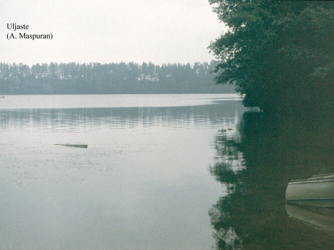 Maakond: Ida-Virumaa Veekogu nimi: Uljaste järv Pildistamise aeg: teadmata Pildistaja: A. Maspuran Pildistamise koht: SE-kallas Asimuut: N