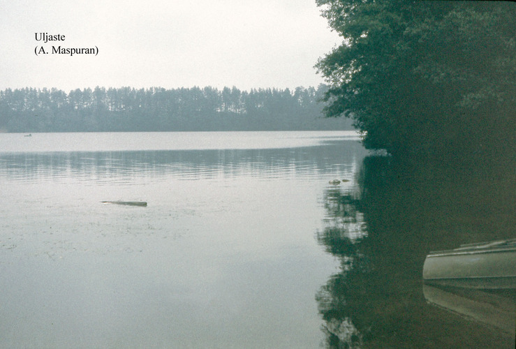 Maakond: Ida-Virumaa Veekogu nimi: Uljaste järv Pildistamise aeg: teadmata Pildistaja: A. Maspuran Pildistamise koht: SE-kallas Asimuut: N