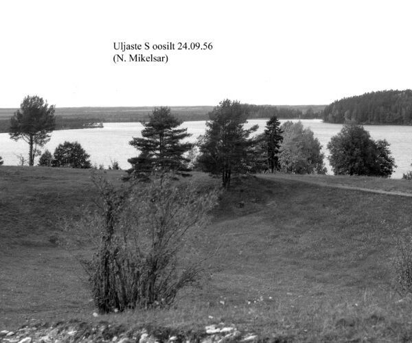 Maakond: Ida-Virumaa Veekogu nimi: Uljaste järv Pildistamise aeg: 24. september 1956 Pildistaja: N. Mikelsaar Pildistamise koht: E-kallas, oosilt Asimuut: W