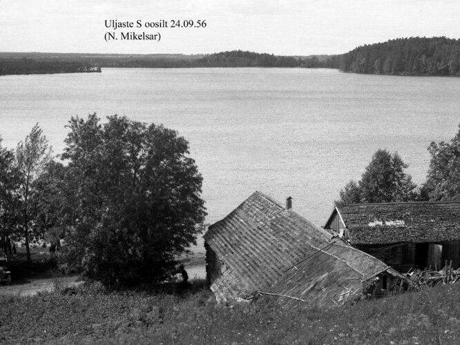 Maakond: Ida-Virumaa Veekogu nimi: Uljaste järv Pildistamise aeg: 24. september 1956 Pildistaja: N. Mikelsaar Pildistamise koht: E-kallas, oosilt Asimuut: W