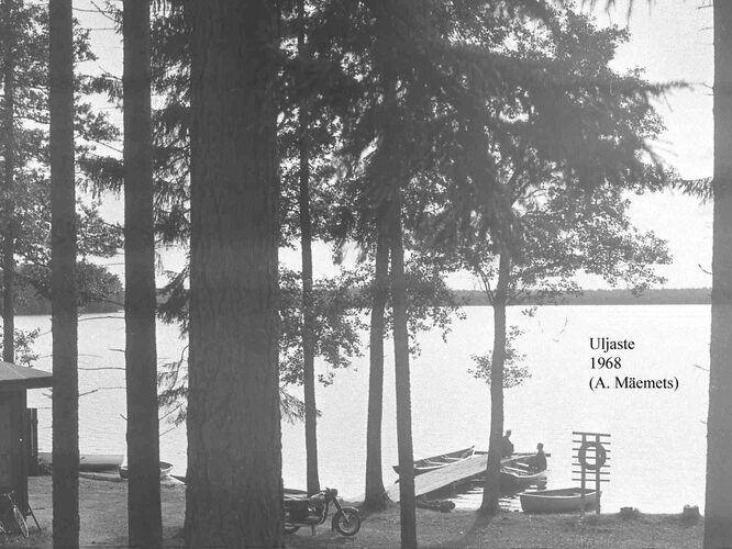 Maakond: Ida-Virumaa Veekogu nimi: Uljaste järv Pildistamise aeg: 1968 Pildistaja: A. Mäemets Pildistamise koht: NE-kallas Asimuut: WNW