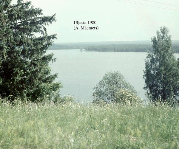 Maakond: Ida-Virumaa Veekogu nimi: Uljaste järv Pildistamise aeg: 1980 Pildistaja: A. Mäemets Pildistamise koht: NE-kallas, oosilt Asimuut: W