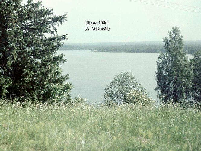 Maakond: Ida-Virumaa Veekogu nimi: Uljaste järv Pildistamise aeg: 1980 Pildistaja: A. Mäemets Pildistamise koht: NE-kallas, oosilt Asimuut: W