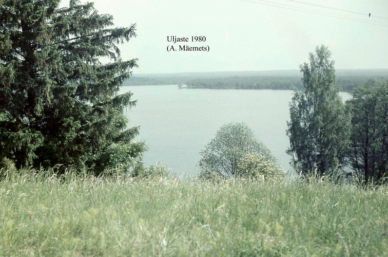 Maakond: Ida-Virumaa Veekogu nimi: Uljaste järv Pildistamise aeg: 1980 Pildistaja: A. Mäemets Pildistamise koht: NE-kallas, oosilt Asimuut: W