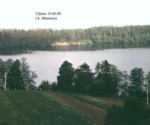 Maakond: Ida-Virumaa Veekogu nimi: Uljaste järv Pildistamise aeg: 10. juuni 1980 Pildistaja: A. Mäemets Pildistamise koht: NE-kallas, oosilt Asimuut: SW