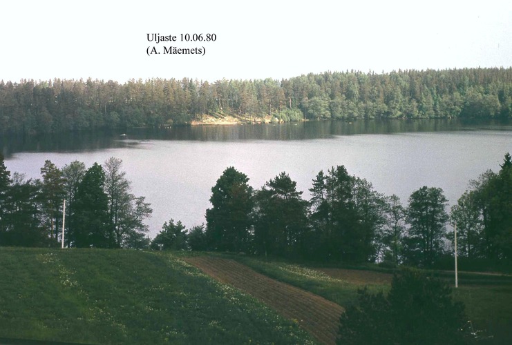 Maakond: Ida-Virumaa Veekogu nimi: Uljaste järv Pildistamise aeg: 10. juuni 1980 Pildistaja: A. Mäemets Pildistamise koht: NE-kallas, oosilt Asimuut: SW