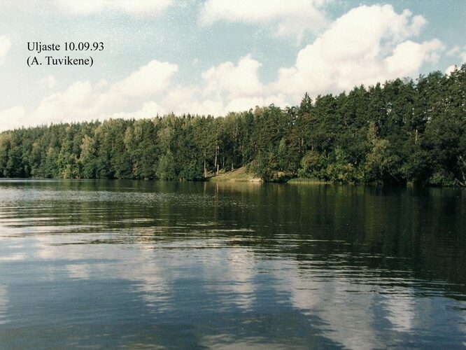 Maakond: Ida-Virumaa Veekogu nimi: Uljaste järv Pildistamise aeg: 1993 Pildistaja: A. Tuvikene Pildistamise koht: NE-kallas Asimuut: NW