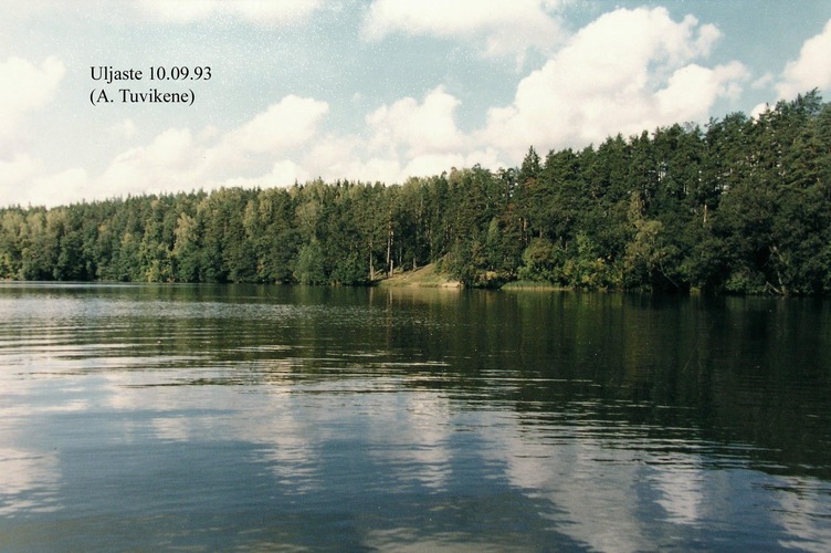 Maakond: Ida-Virumaa Veekogu nimi: Uljaste järv Pildistamise aeg: 1993 Pildistaja: A. Tuvikene Pildistamise koht: NE-kallas Asimuut: NW