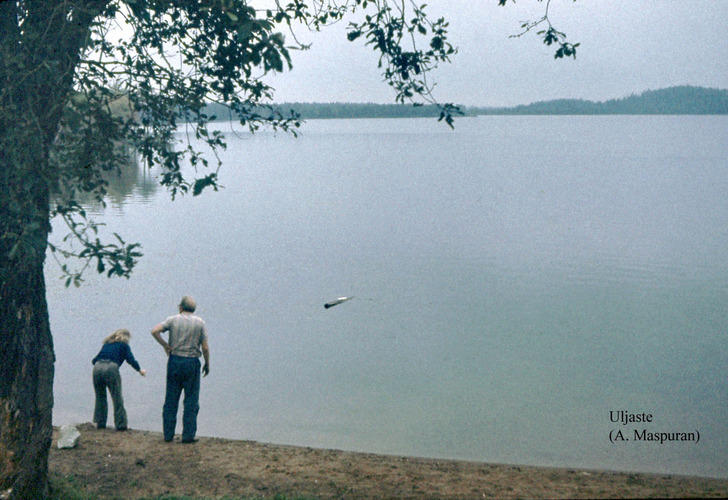 Maakond: Ida-Virumaa Veekogu nimi: Uljaste järv Pildistamise aeg: teadmata Pildistaja: A. Maspuran Pildistamise koht: E-kallas Asimuut: W