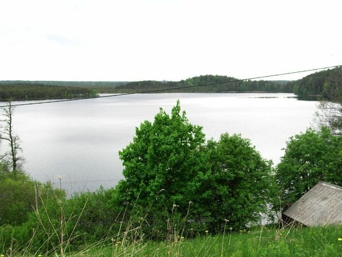 Maakond: Ida-Virumaa Veekogu nimi: Uljaste järv Pildistamise aeg: 30. mai 2005 Pildistaja: H. Timm Pildistamise koht: teadmata Asimuut: