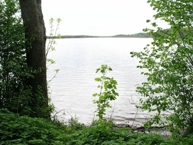 Maakond: Ida-Virumaa Veekogu nimi: Uljaste järv Pildistamise aeg: 30. mai 2005 Pildistaja: H. Timm Pildistamise koht: teadmata Asimuut: