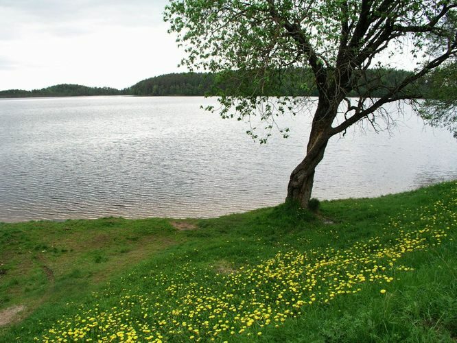 Maakond: Ida-Virumaa Veekogu nimi: Uljaste järv Pildistamise aeg: 30. mai 2005 Pildistaja: H. Timm Pildistamise koht: teadmata Asimuut: