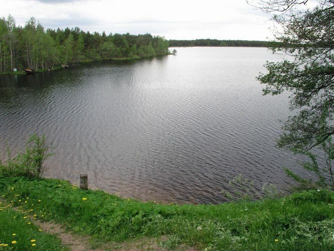 Maakond: Ida-Virumaa Veekogu nimi: Uljaste järv Pildistamise aeg: 30. mai 2005 Pildistaja: H. Timm Pildistamise koht: teadmata Asimuut: