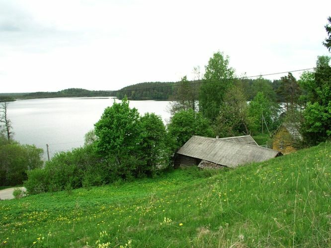 Maakond: Ida-Virumaa Veekogu nimi: Uljaste järv Pildistamise aeg: 30. mai 2005 Pildistaja: H. Timm Pildistamise koht: teadmata Asimuut: