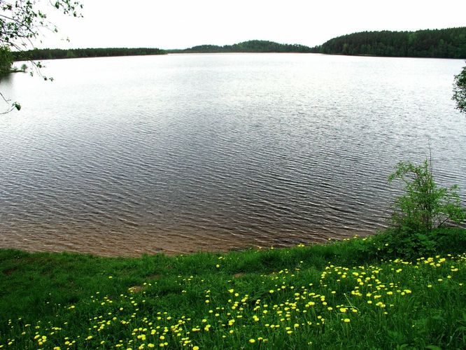 Maakond: Ida-Virumaa Veekogu nimi: Uljaste järv Pildistamise aeg: 30. mai 2005 Pildistaja: H. Timm Pildistamise koht: teadmata Asimuut: