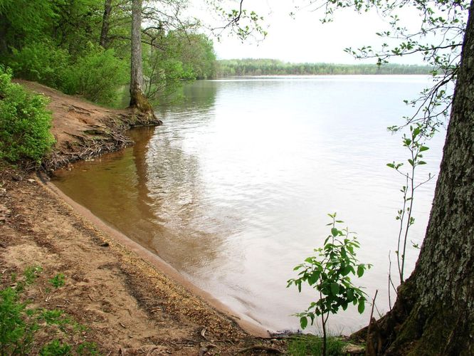 Maakond: Ida-Virumaa Veekogu nimi: Uljaste järv Pildistamise aeg: 23. mai 2006 Pildistaja: H. Timm Pildistamise koht: teadmata Asimuut: