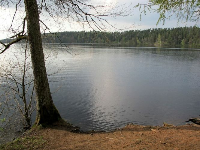 Maakond: Ida-Virumaa Veekogu nimi: Uljaste järv Pildistamise aeg: 13. mai 2010 Pildistaja: H. Timm Pildistamise koht: teadmata Asimuut: