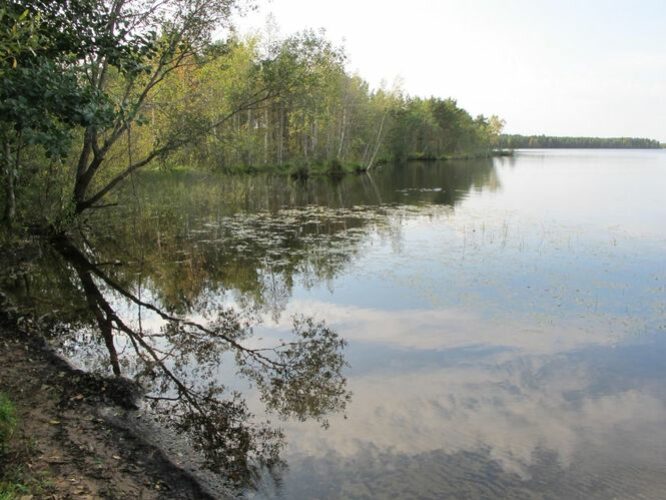 Maakond: Ida-Virumaa Veekogu nimi: Uljaste järv Pildistamise aeg: 11. september 2012 Pildistaja: H. Timm Pildistamise koht: teadmata Asimuut: