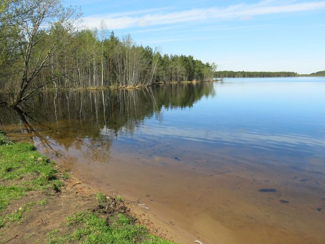 Maakond: Ida-Virumaa Veekogu nimi: Uljaste järv Pildistamise aeg: 15. mai 2013 Pildistaja: H. Timm Pildistamise koht: teadmata Asimuut: