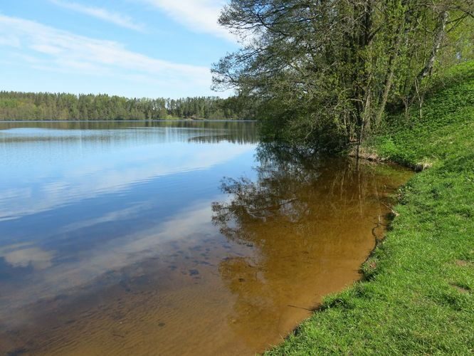 Maakond: Ida-Virumaa Veekogu nimi: Uljaste järv Pildistamise aeg: 15. mai 2013 Pildistaja: H. Timm Pildistamise koht: teadmata Asimuut: