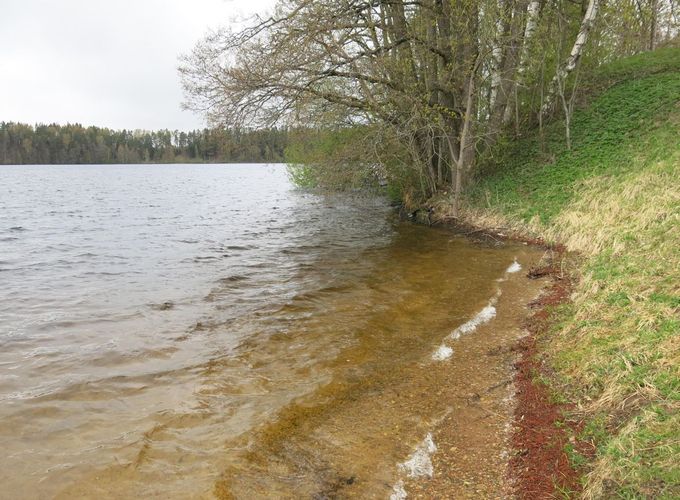 Maakond: Ida-Virumaa Veekogu nimi: Uljaste järv Pildistamise aeg: 5. mai 2014 Pildistaja: H. Timm Pildistamise koht: teadmata Asimuut: