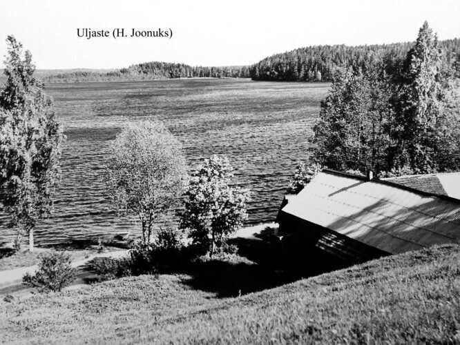 Maakond: Ida-Virumaa Veekogu nimi: Uljaste järv Pildistamise aeg: teadmata Pildistaja: H. Joonuks (Eesti Looduse arhiiv) Pildistamise koht: E-kallas, oosilt Asimuut: W