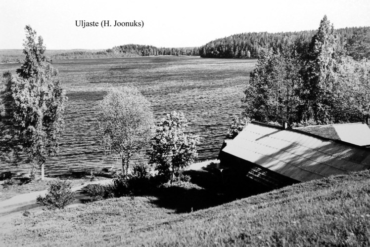 Maakond: Ida-Virumaa Veekogu nimi: Uljaste järv Pildistamise aeg: teadmata Pildistaja: H. Joonuks (Eesti Looduse arhiiv) Pildistamise koht: E-kallas, oosilt Asimuut: W