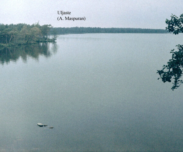Maakond: Ida-Virumaa Veekogu nimi: Uljaste järv Pildistamise aeg: teadmata Pildistaja: A. Maspuran Pildistamise koht: SE-kallas Asimuut: NW