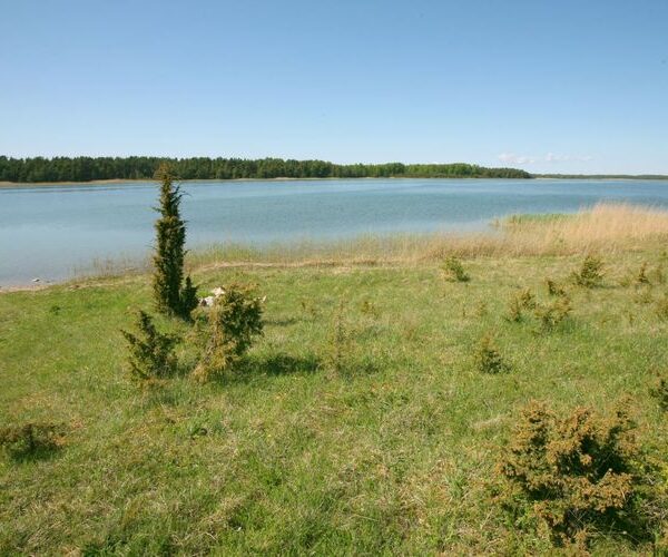 Maakond: Saaremaa Veekogu nimi: Undu laht Pildistamise aeg: 25. mai 2009 Pildistaja: H. Timm Pildistamise koht: teadmata Asimuut: