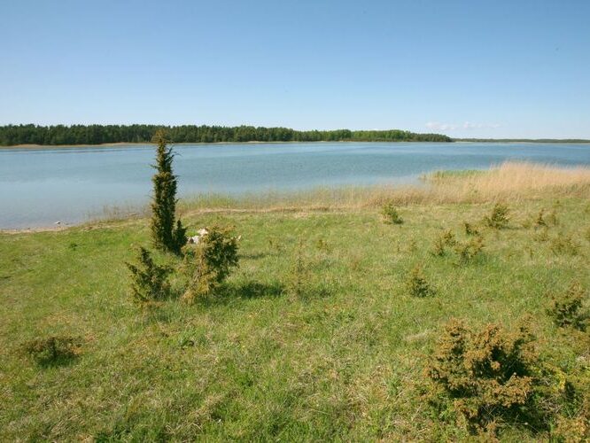 Maakond: Saaremaa Veekogu nimi: Undu laht Pildistamise aeg: 25. mai 2009 Pildistaja: H. Timm Pildistamise koht: teadmata Asimuut: