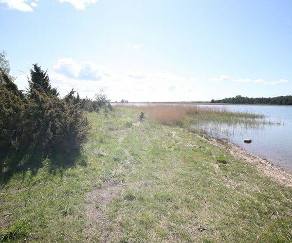 Maakond: Saaremaa Veekogu nimi: Undu laht Pildistamise aeg: 25. mai 2009 Pildistaja: H. Timm Pildistamise koht: teadmata Asimuut: