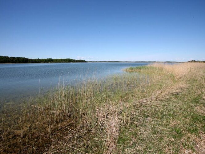 Maakond: Saaremaa Veekogu nimi: Undu laht Pildistamise aeg: 25. mai 2009 Pildistaja: H. Timm Pildistamise koht: teadmata Asimuut: