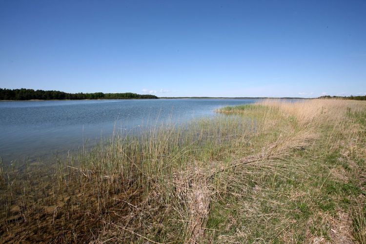 Maakond: Saaremaa Veekogu nimi: Undu laht Pildistamise aeg: 25. mai 2009 Pildistaja: H. Timm Pildistamise koht: teadmata Asimuut: