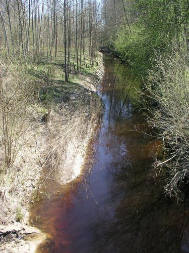 Maakond: Pärnumaa Veekogu nimi: Ura jõgi Pildistamise aeg: 26. aprill 2008 Pildistaja: H. Timm Pildistamise koht: Ilvese Asimuut: