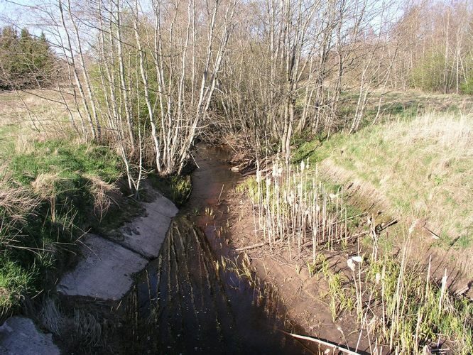 Maakond: Pärnumaa Veekogu nimi: Ura jõgi Pildistamise aeg: 26. aprill 2008 Pildistaja: H. Timm Pildistamise koht: Tali Asimuut: