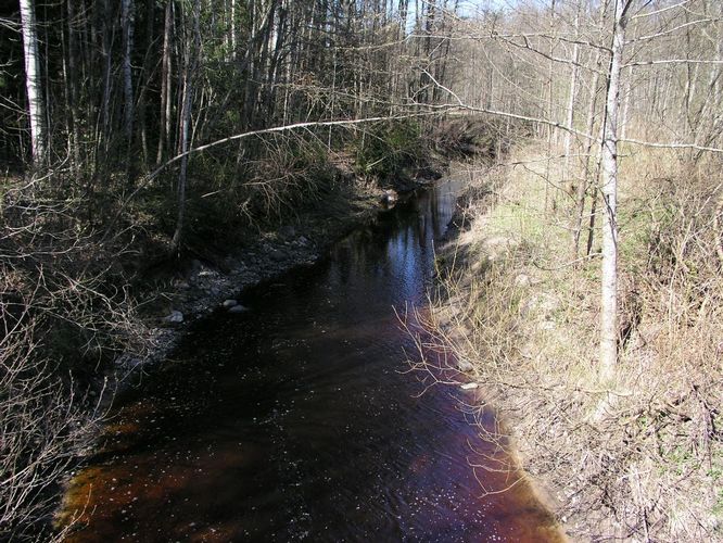 Maakond: Pärnumaa Veekogu nimi: Ura jõgi Pildistamise aeg: 26. aprill 2008 Pildistaja: H. Timm Pildistamise koht: Ilvese Asimuut: