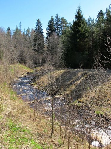 Maakond: Pärnumaa Veekogu nimi: Ura jõgi Pildistamise aeg: 28. aprill 2010 Pildistaja: H. Timm Pildistamise koht: Rae paisjärv Asimuut: