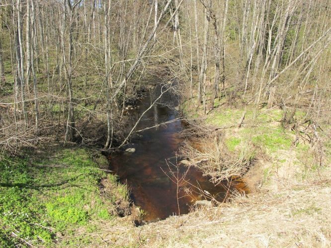 Maakond: Pärnumaa Veekogu nimi: Ura jõgi Pildistamise aeg: 28. aprill 2010 Pildistaja: H. Timm Pildistamise koht: Vangu Asimuut: